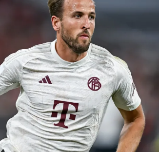 球队晋级的 球队晋级的