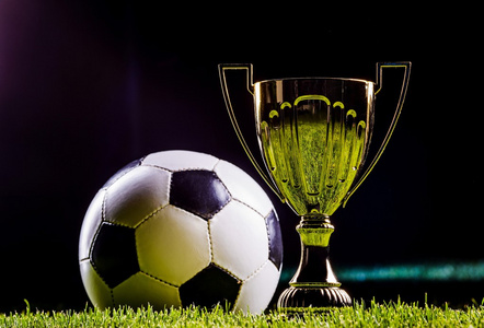 国米已为弗 国米已为弗